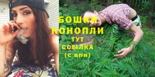 стафф Богородск