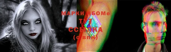 индика Бугульма