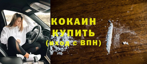 индика Бугульма