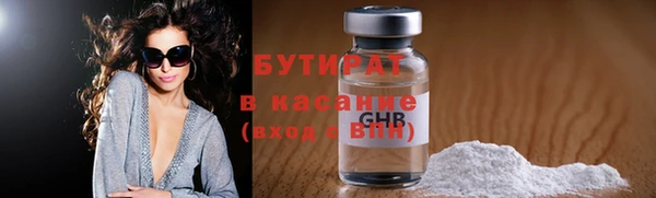 дмт Бородино