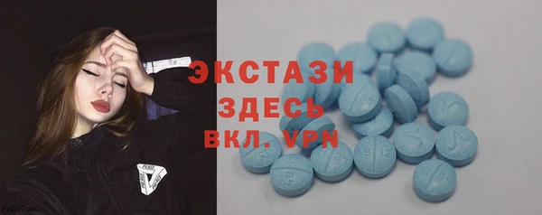 дмт Бородино