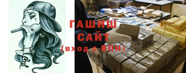 индика Бугульма