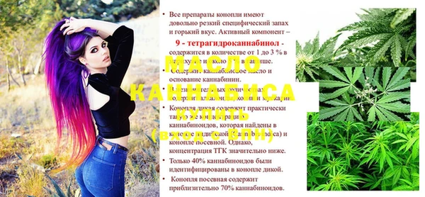 индика Бугульма